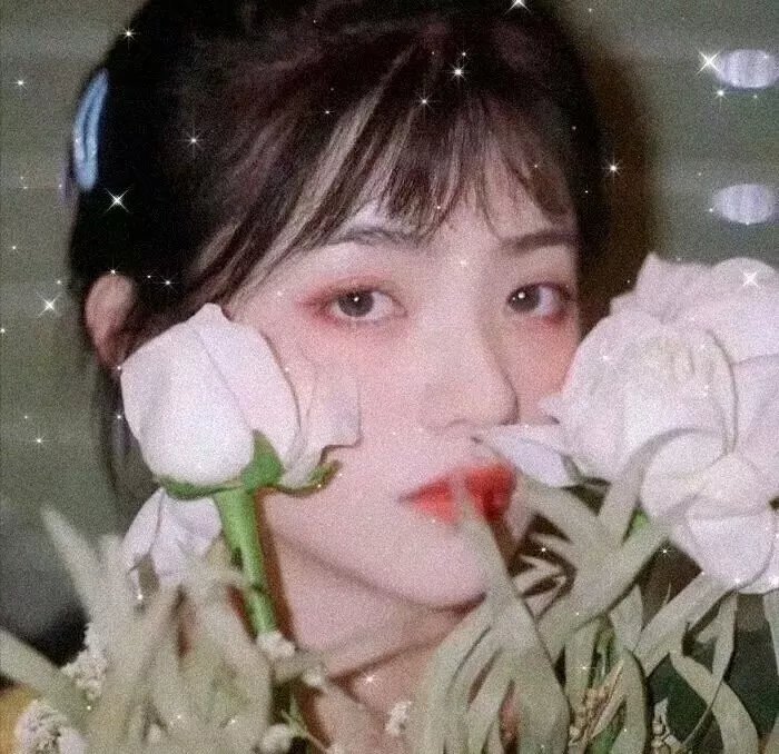 动物界